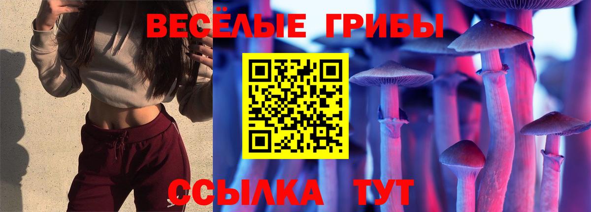 Галлюциногенные грибы Cubensis Бердск