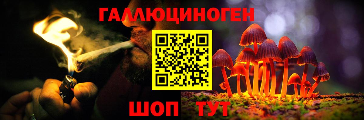 Галлюциногенные грибы GOLDEN TEACHER  Бердск  Псилоцибиновые грибы мухоморы 